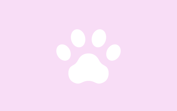 犬のシャンプーを自宅で｜頻度の目安とラクにするコツ