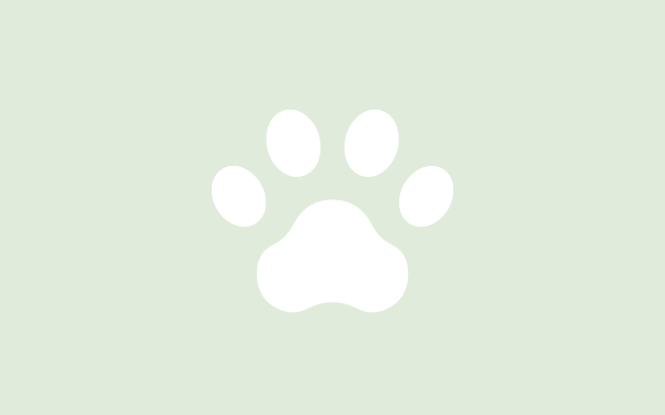 犬の無駄吠え対策｜理由別の対応とやってはいけないこと